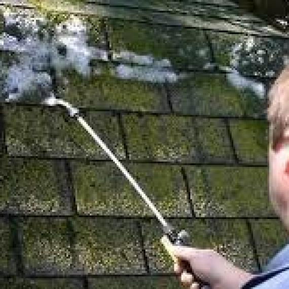5+ Cách làm sạch rêu ở sân bê tông dễ dàng và hiệu quả