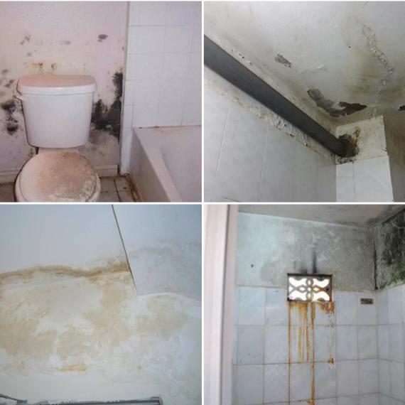 Nguyên nhân và phương pháp chống thấm nhà vệ sinh hiệu quả