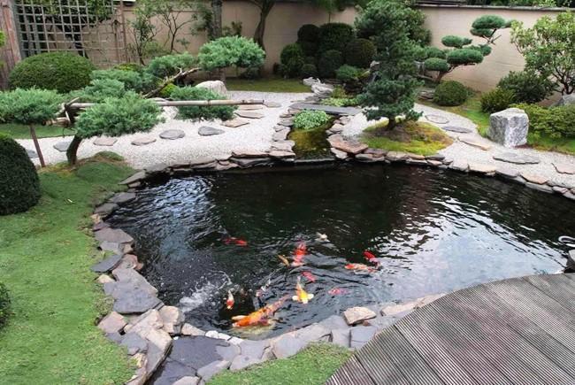 Hồ cá KOI sử dụng sơn chống thấm màu đen