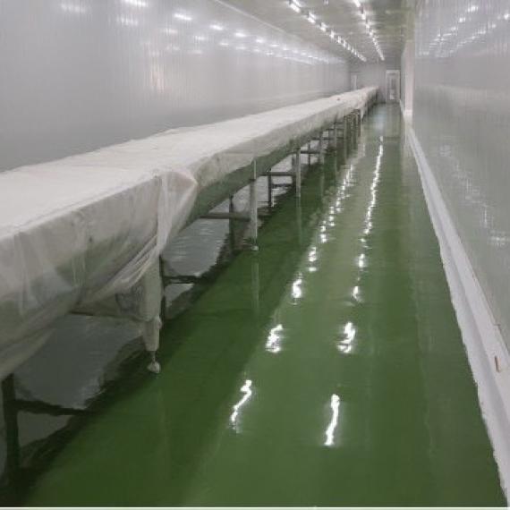Dịch vụ thi công sơn Epoxy kho lạnh trọn gói, giá rẻ 