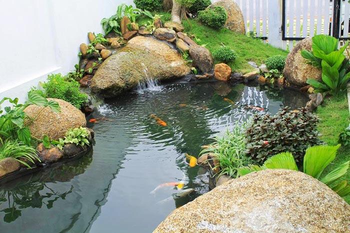 thiết kế hồ cá koi đẹp
