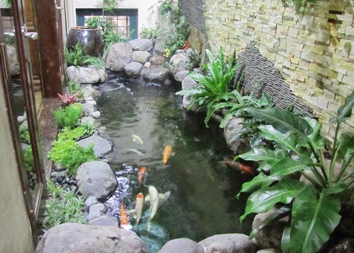 Thiết kế hồ cá koi theo phong thủy: