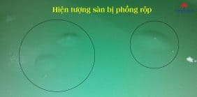 Sơn Epoxy Tín Phát san-bi-phong-rop-282x139 
