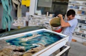 Thi công đổ keo Epoxy trong suốt