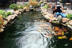 Với diện tích nhỏ, khách hàng có thể tự sơn tại nhà