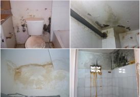 chống thấm nhà vệ sinh