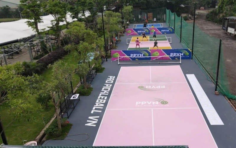 sân pickleball  Hà Nội